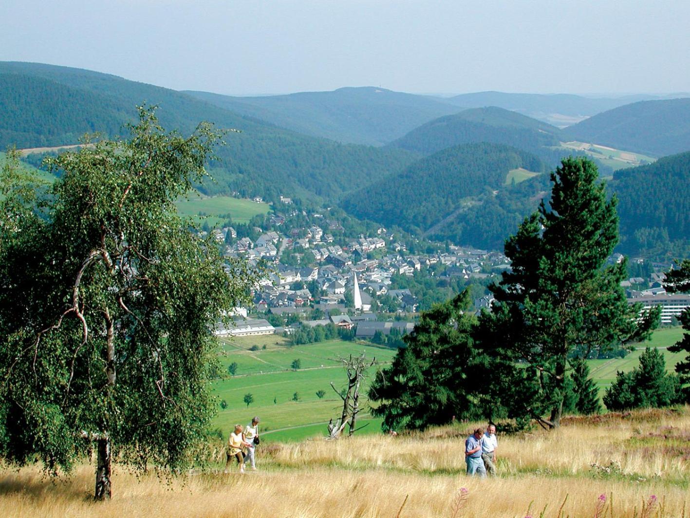 Chalet La Belle Willingen Willingen  Buitenkant foto